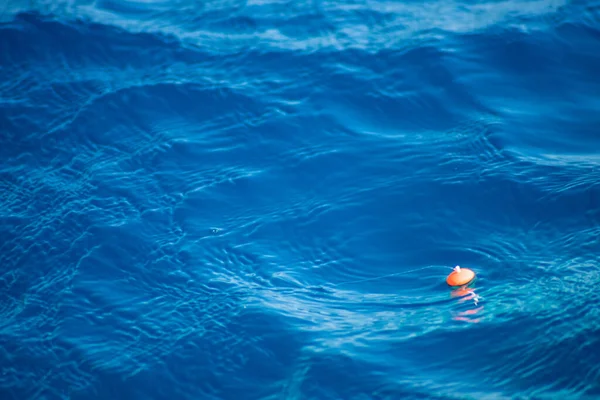 Pesca Rossa Galleggiare Sull Acqua Blu Increspato Copia Spazio Testo — Foto Stock