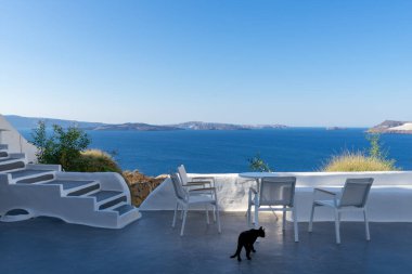 Ayrı bir siyah kedi ve beyaz masalı dört beyaz sandalye, güneşli bir günde mavi deniz ve kaldera manzaralı beyaz bir terasta. Oia, Santorini Adası, Yunanistan