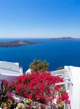 Beyaz geleneksel binalı renkli Bougainvillea çiçekleri ve Oia, Santorini, Yunanistan 'daki tipik kubbe kilisesi. Portre biçimi
