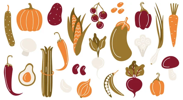 Verduras Brillantes Conjunto Hermosas Verduras Vectores Hierbas Setas Cosecha Otoño — Vector de stock