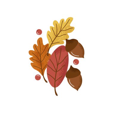 Sonbahar yapraklarından oluşan şirin bir vektör seti beyaz arka planda izole edilmiş çilek ve fındık. Sonbahar sezonu. Sonbahar tatillerini süslemek için gerekli unsurlar. Vektör meşe palamudu, kızılcık, meşe yaprağı.