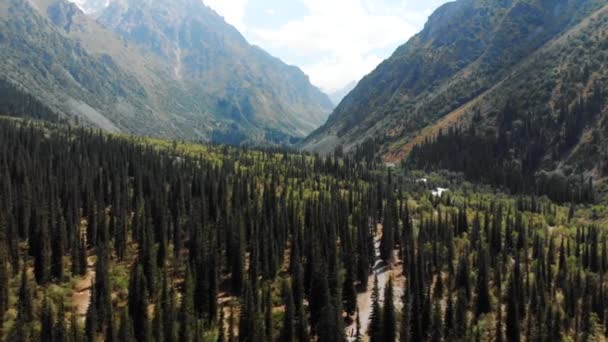 Parque Nacional Ala Archa Kirguistán Río Moutain — Vídeos de Stock