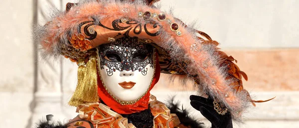 Reveller Traditional Elaborate Mask Costume Annual Venice Carnival Carnevale Venezia — Foto de Stock