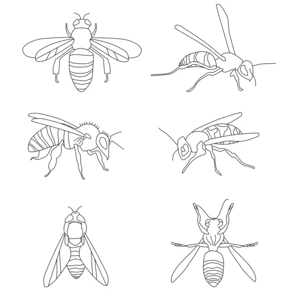 Honigbiene Hummeln Wespen Set Doodle Stil Collection Insert Verschiedenen Poses — Stockvektor