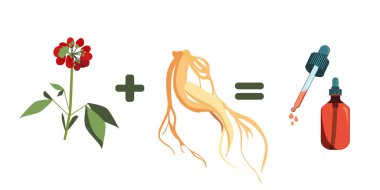 Kırmızı Ginseng kök yaprağı ve böğürtlen. İlaç hayatı ve gençliği uzatır. Kozmetik bilimi için bitki özü. İksir ya da kırışıklık önleyici serum. Güçlü antioksidan. Geleneksel bitkisel ilaçlar için vektör illüstrasyonu..