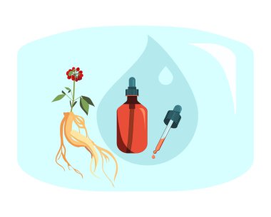 Kırmızı Ginseng kök yaprağı ve böğürtlen. İlaç hayatı ve gençliği uzatır. Kozmetik bilimi için bitki özü. İksir ya da kırışıklık önleyici serum. Güçlü antioksidan. Geleneksel bitkisel ilaçlar için vektör illüstrasyonu..