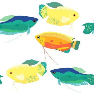 Tatlım, benekli ve ay gourami desensiz. Trikogaster labirent balığı Güney Asya 'dan. Akvaryum sakini, su altı dünyası. Kumaş, defter, evcil hayvan dükkanı ilanı için vektör illüstrasyon modu baskısı