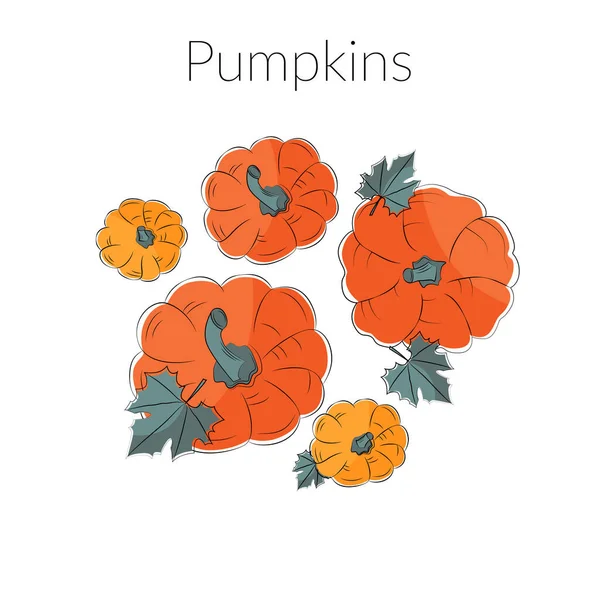 Zucche arancioni e gialle con foglie verdi, elemento di ringraziamento e Halloween, illustrazione vettoriale — Vettoriale Stock