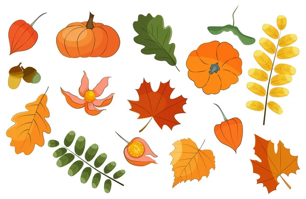 Осенний векторный набор, цветные листья и растения. — стоковый вектор
