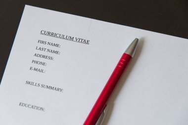 Müfredat Vitae yazılıyor, form dolduruluyor