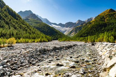 Valmalenco ve Chiareggio köyünün panoramik manzarası. Nehir, dağlar ve buzullar yukarıda..