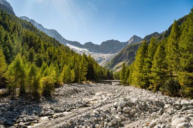 Valmalenco ve Chiareggio köyünün panoramik manzarası. Nehir, dağlar ve buzullar yukarıda..