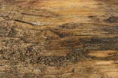 Ahşap doku arka planı. Doğal desen