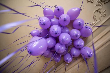 Tavanın altındaki bir odada helyumla şişirilmiş leylak balonları. Parti dekorasyonu.