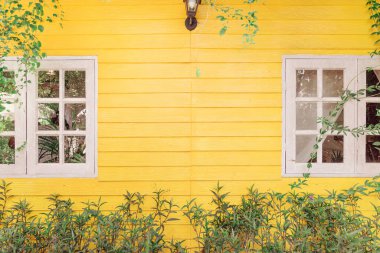 Sarı Woonden duvar arka planında iki beyaz pencere panjuru ve yeşil ağaç dalı binadan ayrılıyor