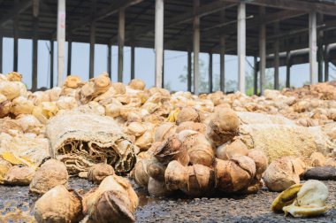 Lastik işleme fabrikası, Standart Tayland Rubber STR 20, kauçuk blok, kauçuktan yapılmış kauçuk çubuklar. Yüksek fiziksel özellikler.