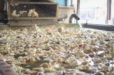 Lastik işleme fabrikası, Standart Tayland Rubber STR 20, kauçuk blok, kauçuktan yapılmış kauçuk çubuklar. Yüksek fiziksel özellikler.