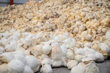 Lastik işleme fabrikası, Standart Tayland Rubber STR 20, kauçuk blok, kauçuktan yapılmış kauçuk çubuklar. Yüksek fiziksel özellikler.