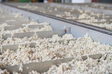 Lastik işleme fabrikası, Standart Tayland Rubber STR 20, kauçuk blok, kauçuktan yapılmış kauçuk çubuklar. Yüksek fiziksel özellikler.