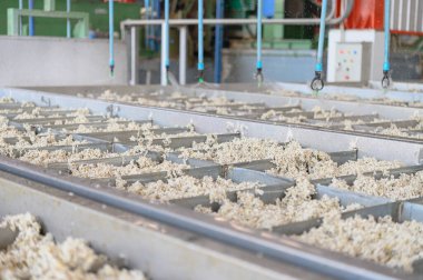 Lastik işleme fabrikası, Standart Tayland Rubber STR 20, kauçuk blok, kauçuktan yapılmış kauçuk çubuklar. Yüksek fiziksel özellikler.