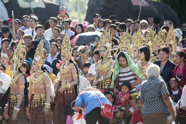 Geleneksel Tay Dans Kadınların Geleneksel Fil Yuvarlak Kadar Festival Tayland — Stok fotoğraf