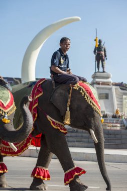 Filler Phaya Surin Pakdee Anıt veya geleneksel fil yuvarlak kadar festivalin bir Tayland Surin şehir meydanında fil. Tayland, bir, Surin, Kasım, 2017