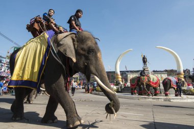 Filler Phaya Surin Pakdee Anıt veya geleneksel fil yuvarlak kadar festivalin bir Tayland Surin şehir meydanında fil. Tayland, bir, Surin, Kasım, 2017