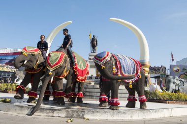 Filler Phaya Surin Pakdee Anıt veya geleneksel fil yuvarlak kadar festivalin bir Tayland Surin şehir meydanında fil. Tayland, bir, Surin, Kasım, 2017