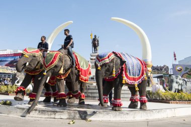 Filler Phaya Surin Pakdee Anıt veya geleneksel fil yuvarlak kadar festivalin bir Tayland Surin şehir meydanında fil. Tayland, bir, Surin, Kasım, 2017