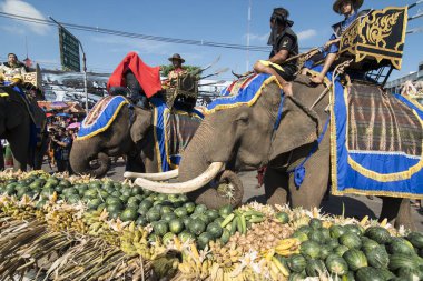 Filler ile lots-in meyve geleneksel fil yuvarlak kadar festivalin bir Tayland Surin şehir üzerinde fil açık büfe. Tayland, bir, Surin, Kasım, 2017