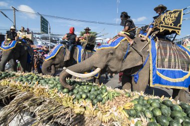Filler ile lots-in meyve geleneksel fil yuvarlak kadar festivalin bir Tayland Surin şehir üzerinde fil açık büfe. Tayland, bir, Surin, Kasım, 2017