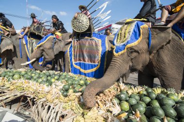 Filler ile lots-in meyve geleneksel fil yuvarlak kadar festivalin bir Tayland Surin şehir üzerinde fil açık büfe. Tayland, bir, Surin, Kasım, 2017
