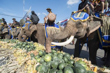 Filler ile lots-in meyve geleneksel fil yuvarlak kadar festivalin bir Tayland Surin şehir üzerinde fil açık büfe. Tayland, bir, Surin, Kasım, 2017