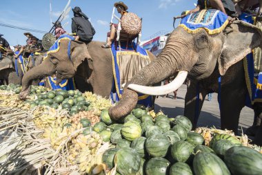 Filler ile lots-in meyve geleneksel fil yuvarlak kadar festivalin bir Tayland Surin şehir üzerinde fil açık büfe. Tayland, bir, Surin, Kasım, 2017