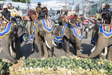 Filler ile lots-in meyve geleneksel fil yuvarlak kadar festivalin bir Tayland Surin şehir üzerinde fil açık büfe. Tayland, bir, Surin, Kasım, 2017