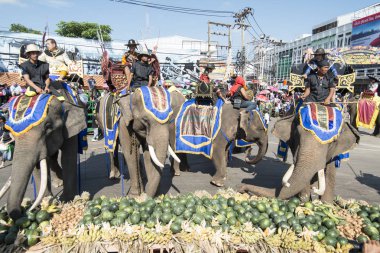 Filler ile lots-in meyve geleneksel fil yuvarlak kadar festivalin bir Tayland Surin şehir üzerinde fil açık büfe. Tayland, bir, Surin, Kasım, 2017