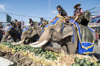 Filler ile lots-in meyve geleneksel fil yuvarlak kadar festivalin bir Tayland Surin şehir üzerinde fil açık büfe. Tayland, bir, Surin, Kasım, 2017