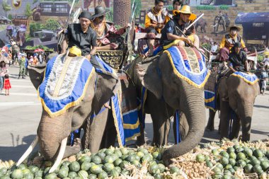 Filler ile lots-in meyve geleneksel fil yuvarlak kadar festivalin bir Tayland Surin şehir üzerinde fil açık büfe. Tayland, bir, Surin, Kasım, 2017
