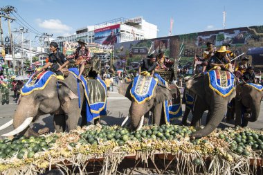 Filler ile lots-in meyve geleneksel fil yuvarlak kadar festivalin bir Tayland Surin şehir üzerinde fil açık büfe. Tayland, bir, Surin, Kasım, 2017