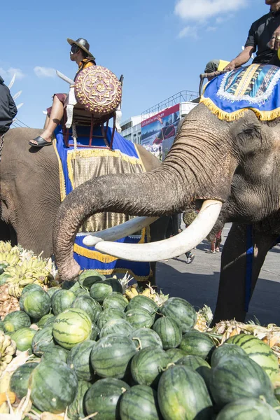 Слоны Буфете Слонами Большим Количеством Фруктов Традиционном Фестивале Слонов Сурине — стоковое фото