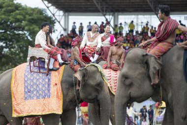 Filler geleneksel fil yuvarlak kadar festivalin bir Tayland Surin şehir stadyumunda Elaphant fuarında. Tayland, bir, Surin, Kasım, 2017