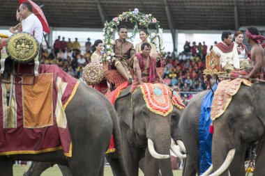 Filler geleneksel fil yuvarlak kadar festivalin bir Tayland Surin şehir stadyumunda Elaphant fuarında. Tayland, bir, Surin, Kasım, 2017