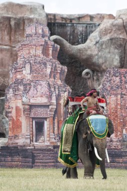 Filler geleneksel fil yuvarlak kadar festivalin bir Tayland Surin şehir stadyumunda Elaphant fuarında. Tayland, bir, Surin, Kasım, 2017