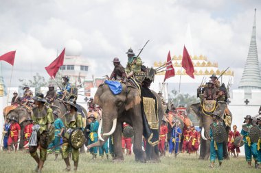 Filler geleneksel fil yuvarlak kadar festivalin bir Tayland Surin şehir stadyumunda Elaphant fuarında. Tayland, bir, Surin, Kasım, 2017
