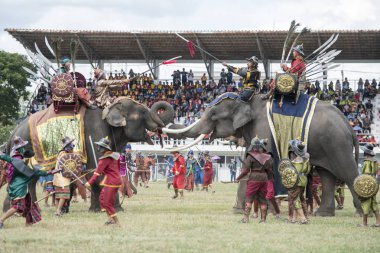 Filler geleneksel fil yuvarlak kadar festivalin bir Tayland Surin şehir stadyumunda Elaphant fuarında. Tayland, bir, Surin, Kasım, 2017