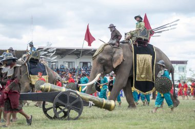 Filler geleneksel fil yuvarlak kadar festivalin bir Tayland Surin şehir stadyumunda Elaphant fuarında. Tayland, bir, Surin, Kasım, 2017