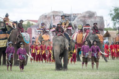 Filler geleneksel fil yuvarlak kadar festivalin bir Tayland Surin şehir stadyumunda Elaphant fuarında. Tayland, bir, Surin, Kasım, 2017