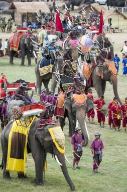 Filler geleneksel fil yuvarlak kadar festivalin bir Tayland Surin şehir stadyumunda Elaphant fuarında. Tayland, bir, Surin, Kasım, 2017