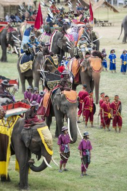 Filler geleneksel fil yuvarlak kadar festivalin bir Tayland Surin şehir stadyumunda Elaphant fuarında. Tayland, bir, Surin, Kasım, 2017