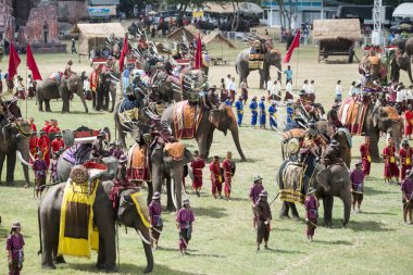 Filler geleneksel fil yuvarlak kadar festivalin bir Tayland Surin şehir stadyumunda Elaphant fuarında. Tayland, bir, Surin, Kasım, 2017